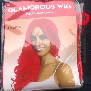 Costume Wig.     🎃